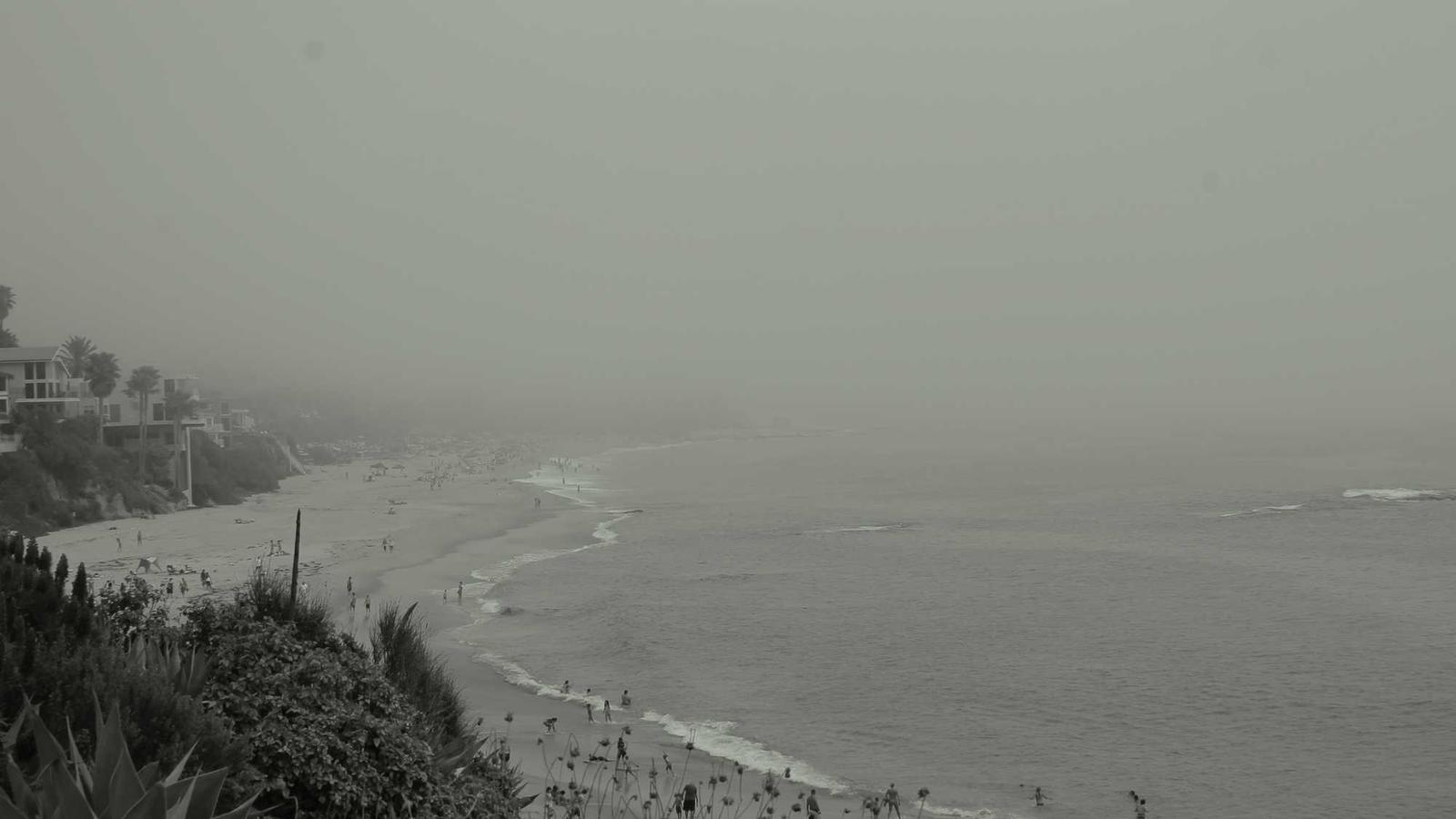 莫听报纸后的辛酸泪